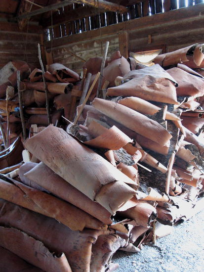 Das Ausgangsmaterial - Birkenrinde...