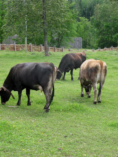 Und nicht zuletzt die Landwirtschaft, welche die Grundnahrungsmittel lieferte...