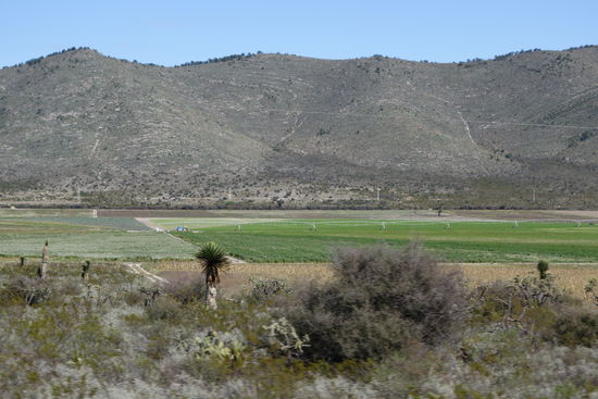 Felder mit riesigen Bewässerungsanlagen...