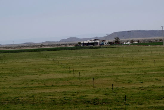 Wo's Wasser gibt - wird die Wüste wunderbar grün...