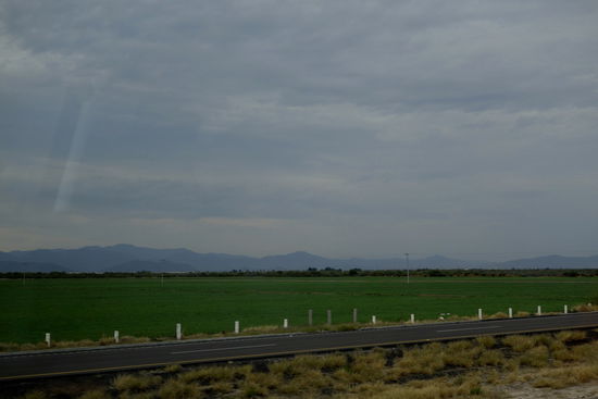 ...bringt entsprechende Erträge...