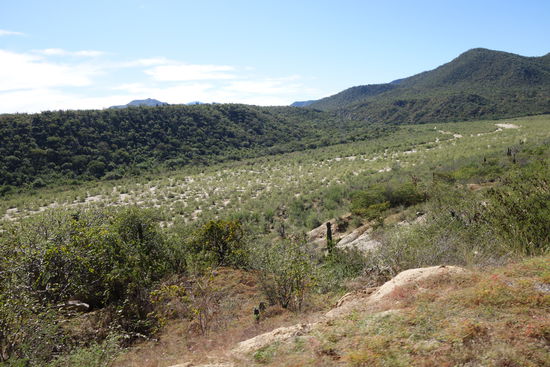 Ein ausgetrocknetes Flussbett...