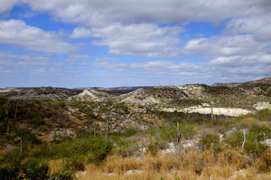 ...und ergeben hübsche Licht- und Schattenbilder...