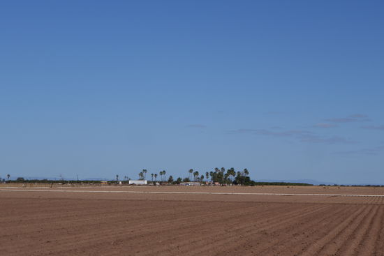 Je näher wir an die Stadt heranfahren, umso mehr treffen wir auf kultiviertes, bewässertes Land...
