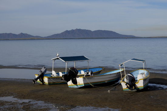 Ebbe - die Boote liegen auf Grund...
