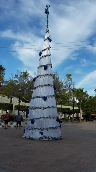 Der grosse Weihnachtsbaum von Loreto...