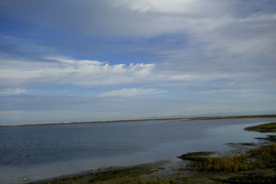 Wir fahren geführt - mit einer Gruppe hinaus in die "Laguna Ojo de Liebre"...