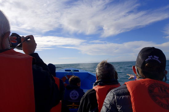 Nicht immer einfach, die Tiere zu fotografieren - zum Glück ist Kathrin auch präsent und liefert gute Bilder...