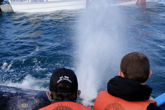 Hin und wieder gibt es eine kräftige Douche...!!!
