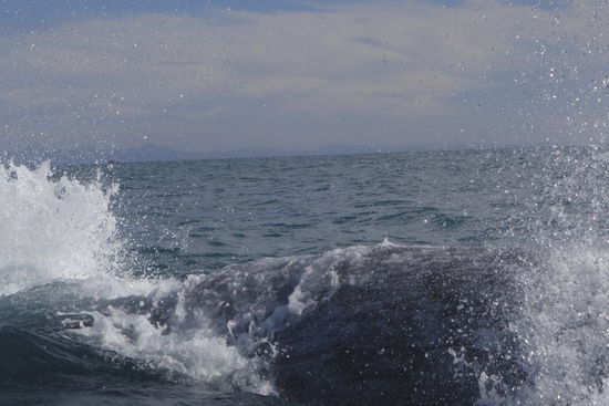 Einer von rechts, der Andere von links...