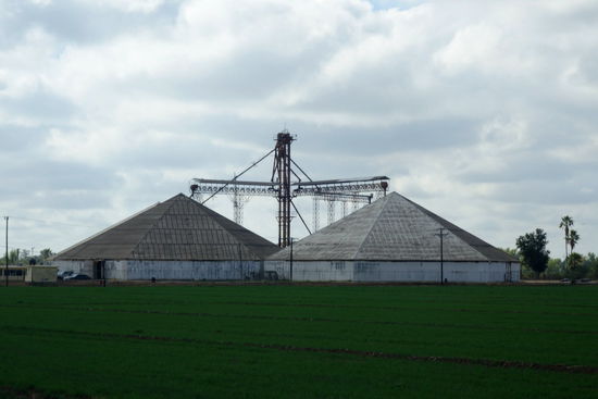 ... unterbrochen von riesigen Farmen...