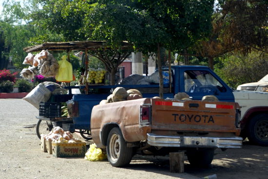 Direktverkauf an der Strasse...
