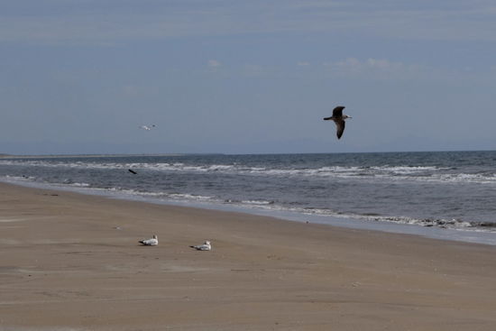 Und vor uns der Pazifik...