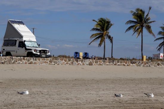 So lässt es sich doch wunderbar leben...