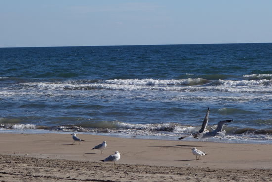 Stille Betrachtungen...