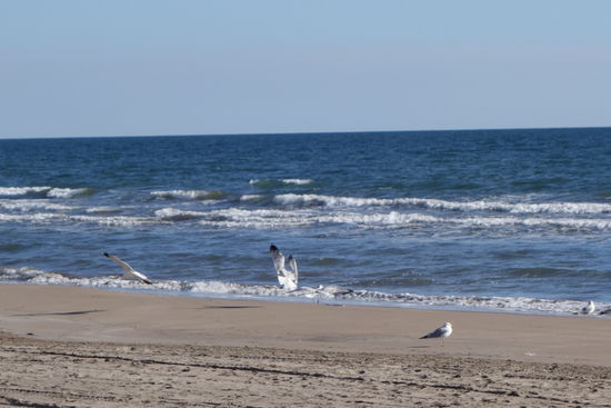 Es gibt immer Gewinner und Verlierer...