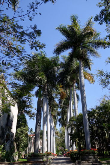 Wirklich einladend - der Eingang zu den Restaurants und zur Hotel-Lobby