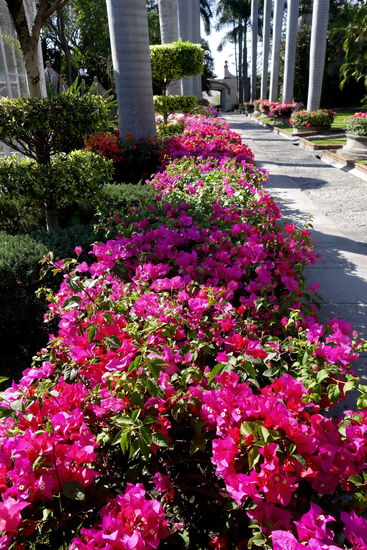 Und wir durchstreifen auf dem Rückweg nochmals die Hotellobby