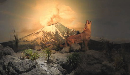 Und auch der Tierwelt