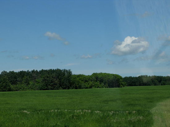 Hecken schützen die Landschaft vor starken Winden...