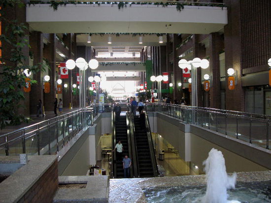 Wir planen unser weiteres Vorgehen und beschliessen, in den Jasper NP zu fahren...