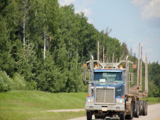 Allerhand Gefährt sind auf der Strasse...