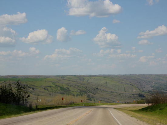 Man sieht es an der Vegetation, dass wir weiter nördlich sind...