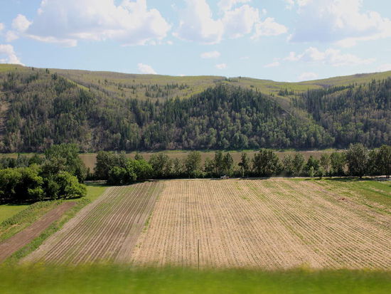 Gepflügt wird schon lange nicht mehr, der Boden wird wenig aufgerissen und direkt hineingesät...
