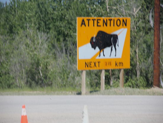 Ein Naturschutzgebiet quer durch die Schweiz - Vorsicht! 316 km  "Bisons"...