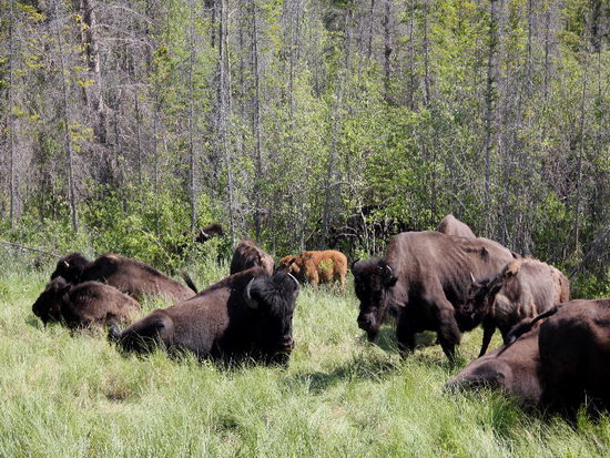 Spannend, den Tieren zuzuschauen...