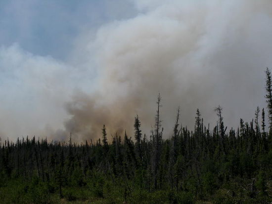 Wenig später wissen auch wir, warum...! Waldbrand...!