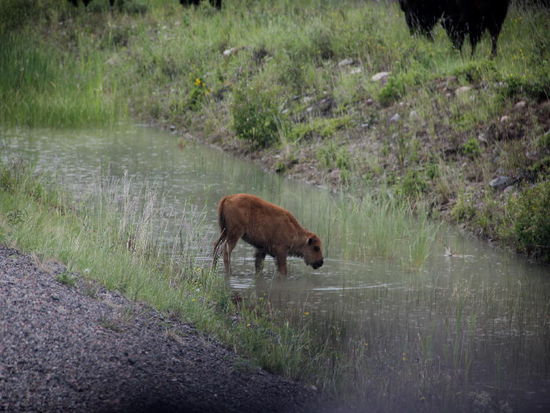 Pfui, das ist ja ganz nass hier...