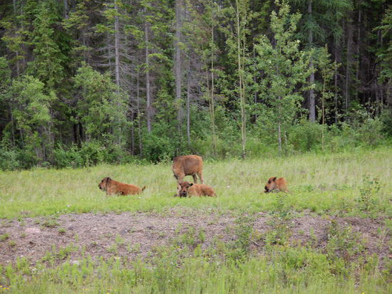Der Kindergarten ist aber auf der andern Seite...