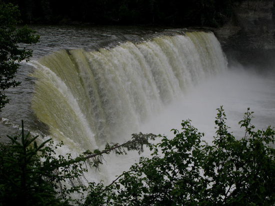Die Eveline Falls liegen direkt auf einer Muschalbank... - also Meeresgrund!