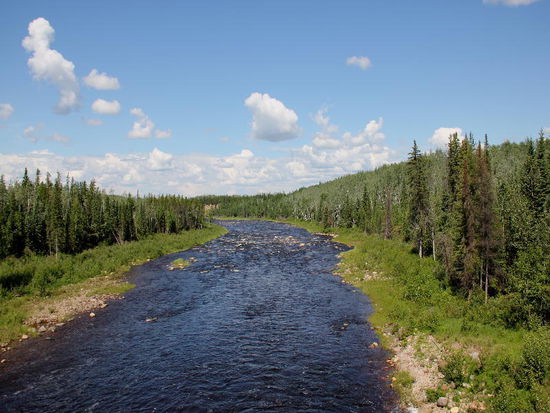 Dazwischen immer wieder schöne Ausblicke auf Flüsse und Wälder...