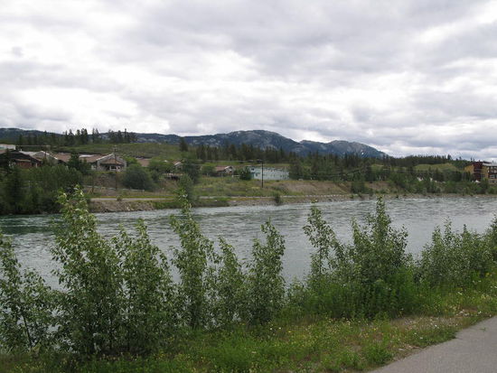 Dem Yukon River entlang...