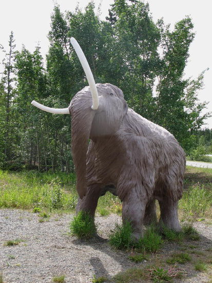 Im Yukon Beringia Interpretive Centre...