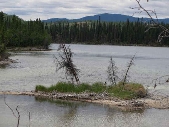 Wir fahren bis Carmacks und übernachten hier...; unterwegs halten wir mehrmals an...; in Carmacks selber treffen wir zwei Schweizer, die den Yukon mit dem Kanu befahren...; die Frauen ihrerseits fahren mit den Autos weiter...
