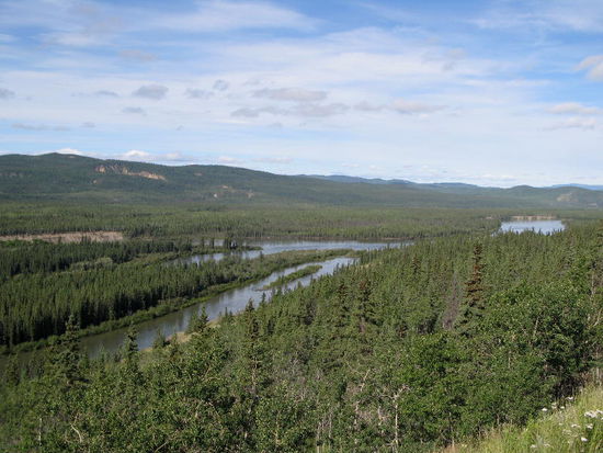 Fahren dem Teslin  River entlang...