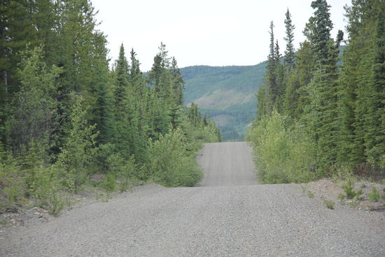 Beim Big Salmon River zieht uns das GPS auf eine Seitenstrasse...