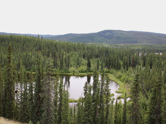 Kleine Seen laden zum Fischen ein...