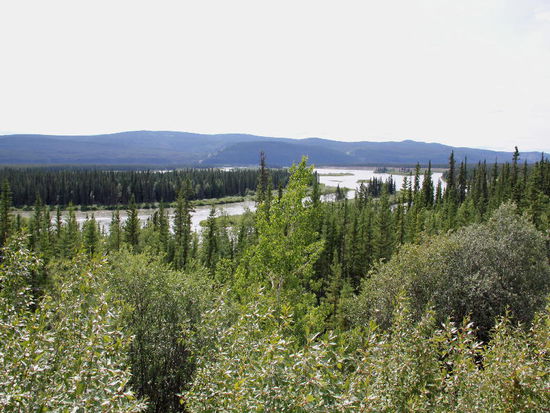 Wir sind wieder am Klondike Hwy. ...