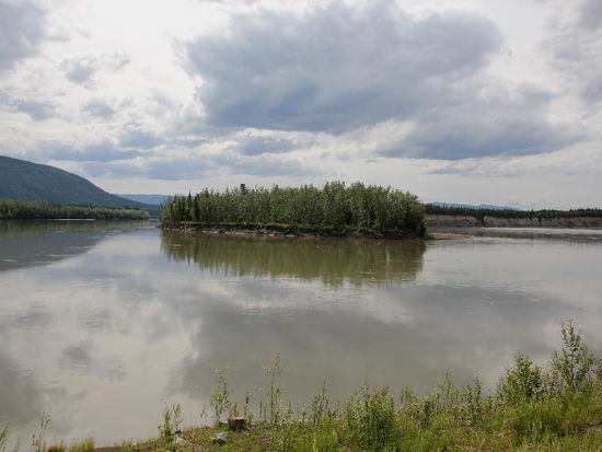 Ein Blick auf den Stewart River...