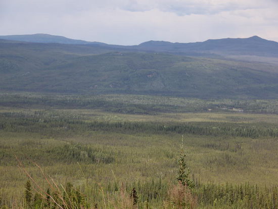 Immer wieder schweift der Blick hinaus ins breite Tal...