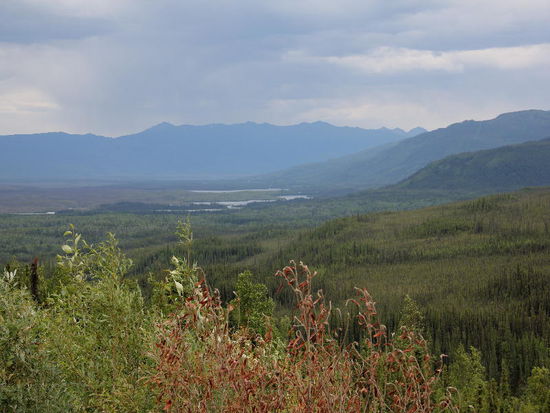 Die 180 km bis zum Stewart Crossing müssen wir wieder hinter uns bringen...