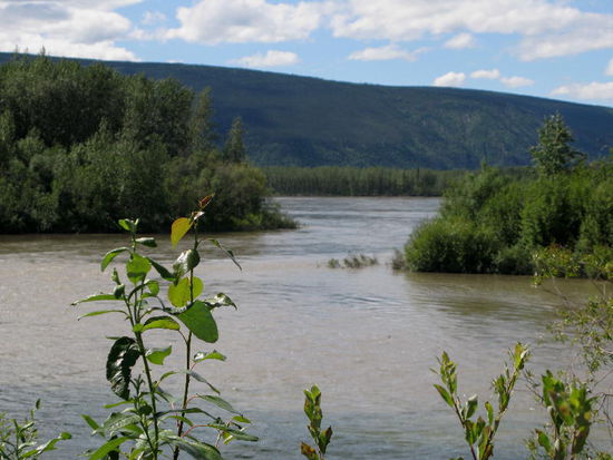 Am Yukon River...