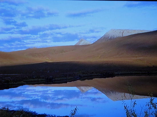 Ihre natürliche Umgebung...