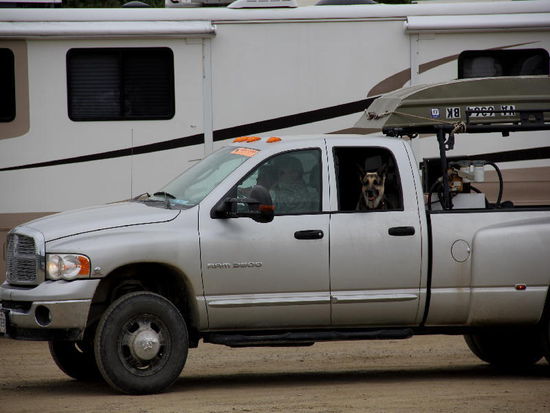 Auch der Hund darf mit...