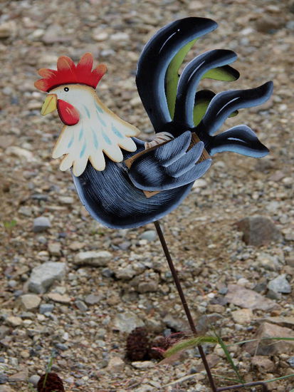 Chicken...! Wird mir in Erinnerung bleiben...