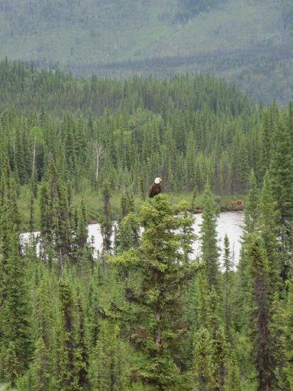 Lange können wir ihn beobachten...